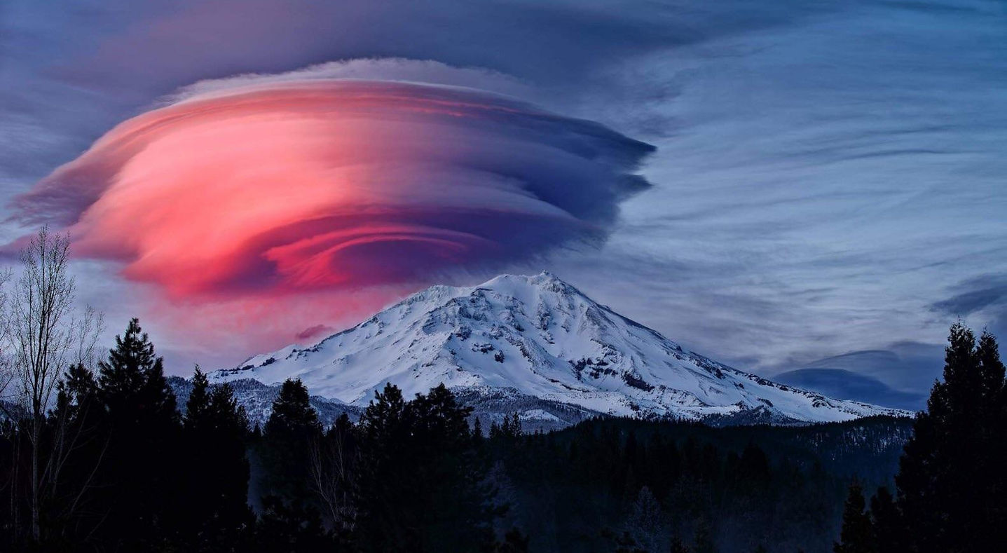 Mount Shasta Collective Dispensary in Mt Shasta, CA (3)