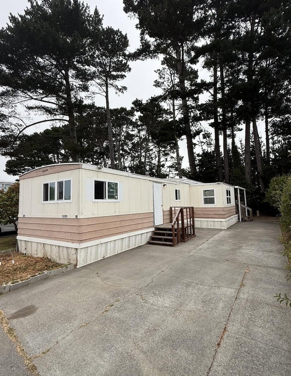 Suzy Smith Living, REALTOR® Broker/Owner DRE#02023985 in Eureka, CA