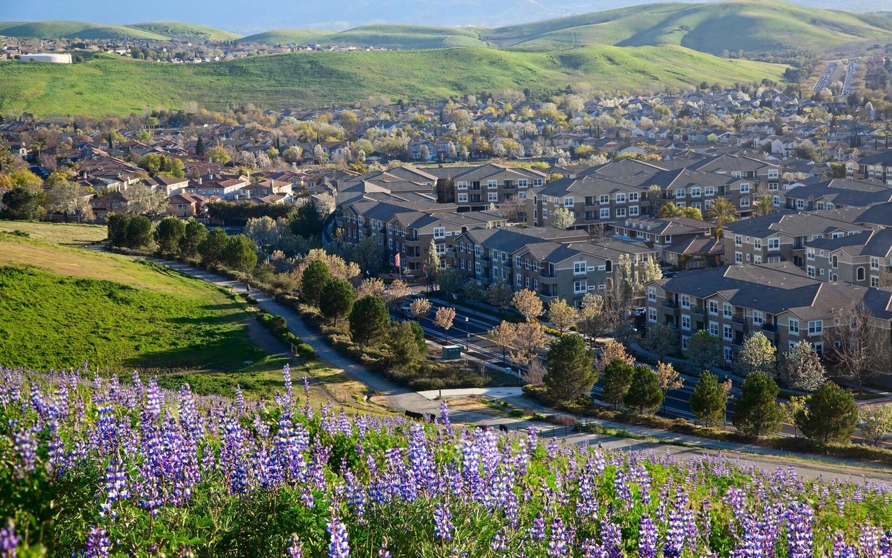 Armario Homes in Pleasanton, CA (6)