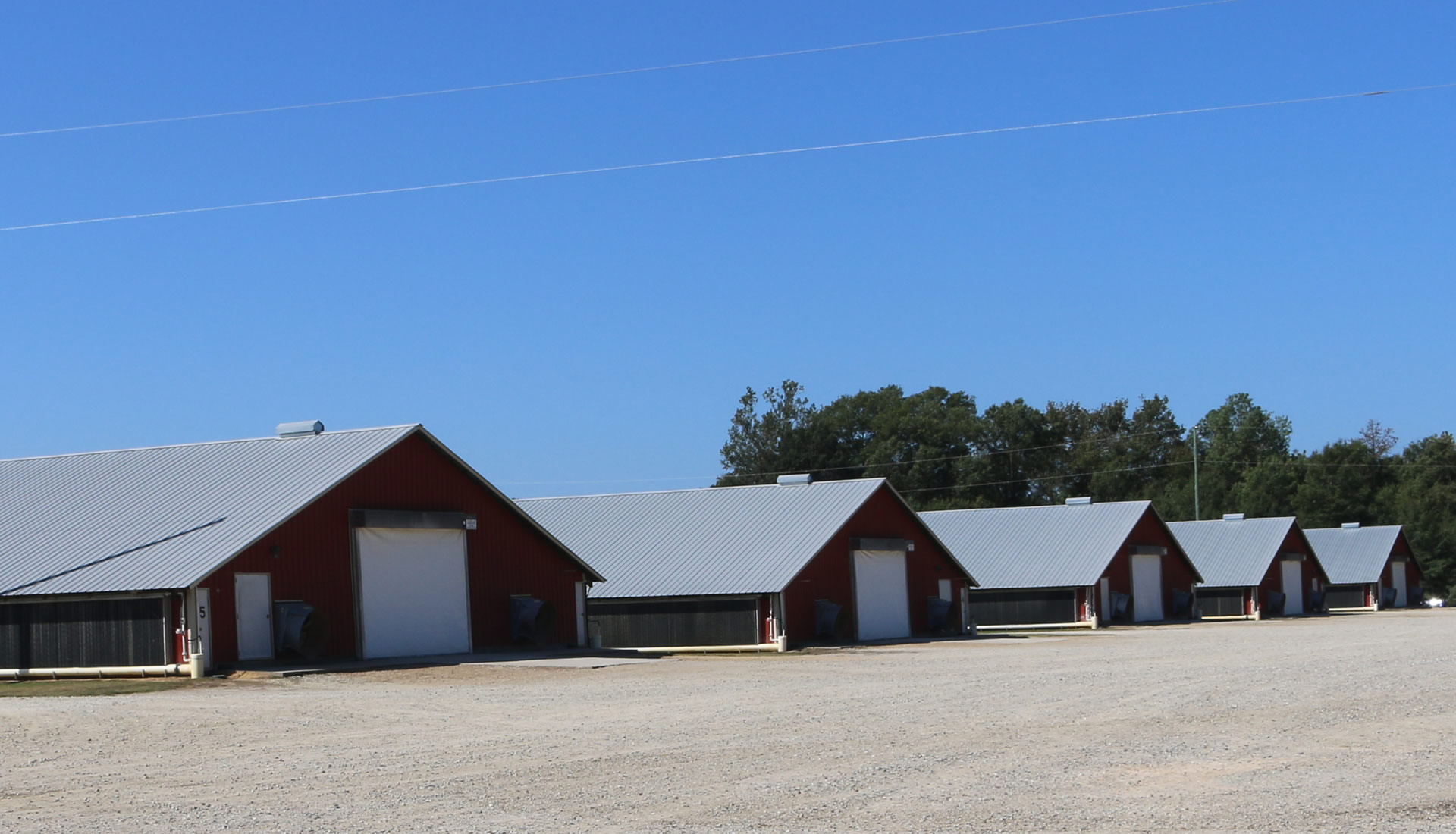 Amick Farms in Batesburg-Leesville, SC (4)