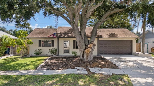 Deal House Realty LLC in New Port Richey, FL (2)
