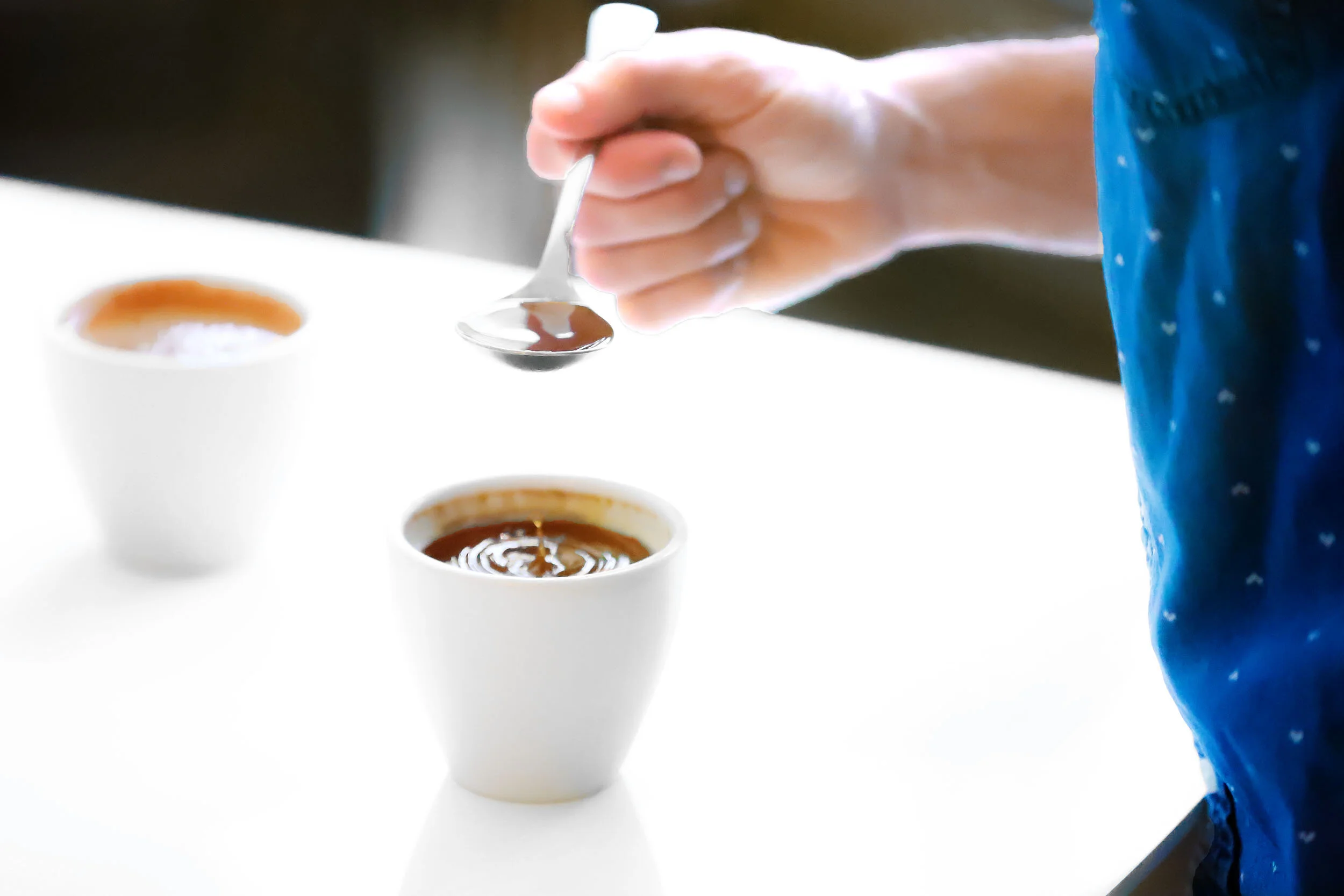 Flatlands Coffee in Bowling Green, OH (5)