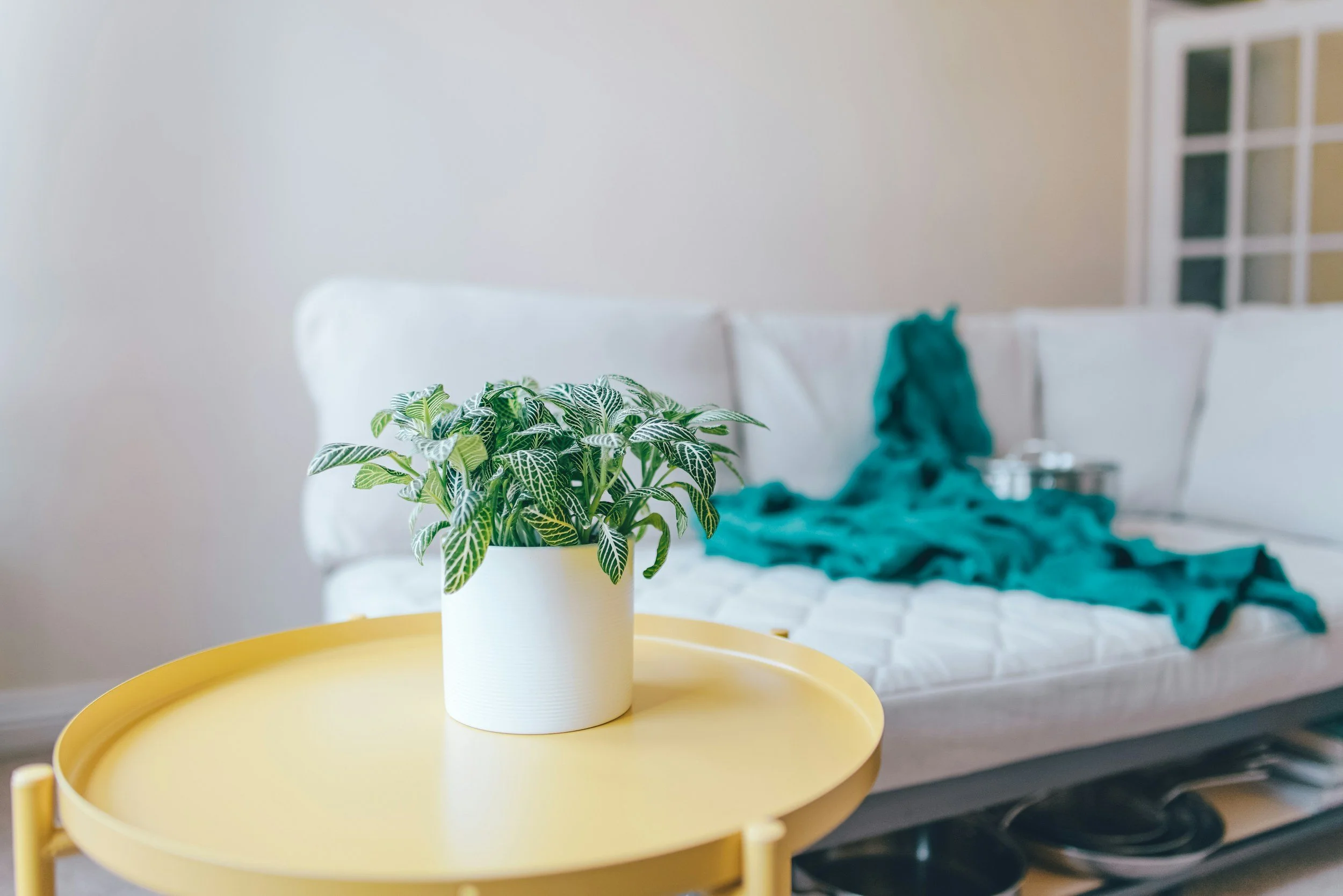 Joiful Homes Indy | Joi Clarke, REALTOR in Indianapolis, IN (5)