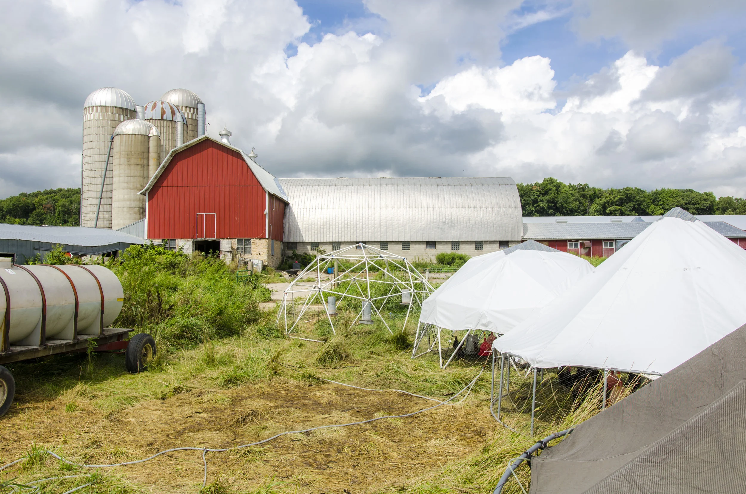 Amandas Eggs & Pasture Poultry in Elk Mound, WI