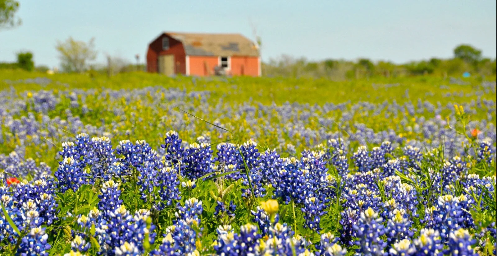 Sean Prendergast CPA, PC in Brenham, TX