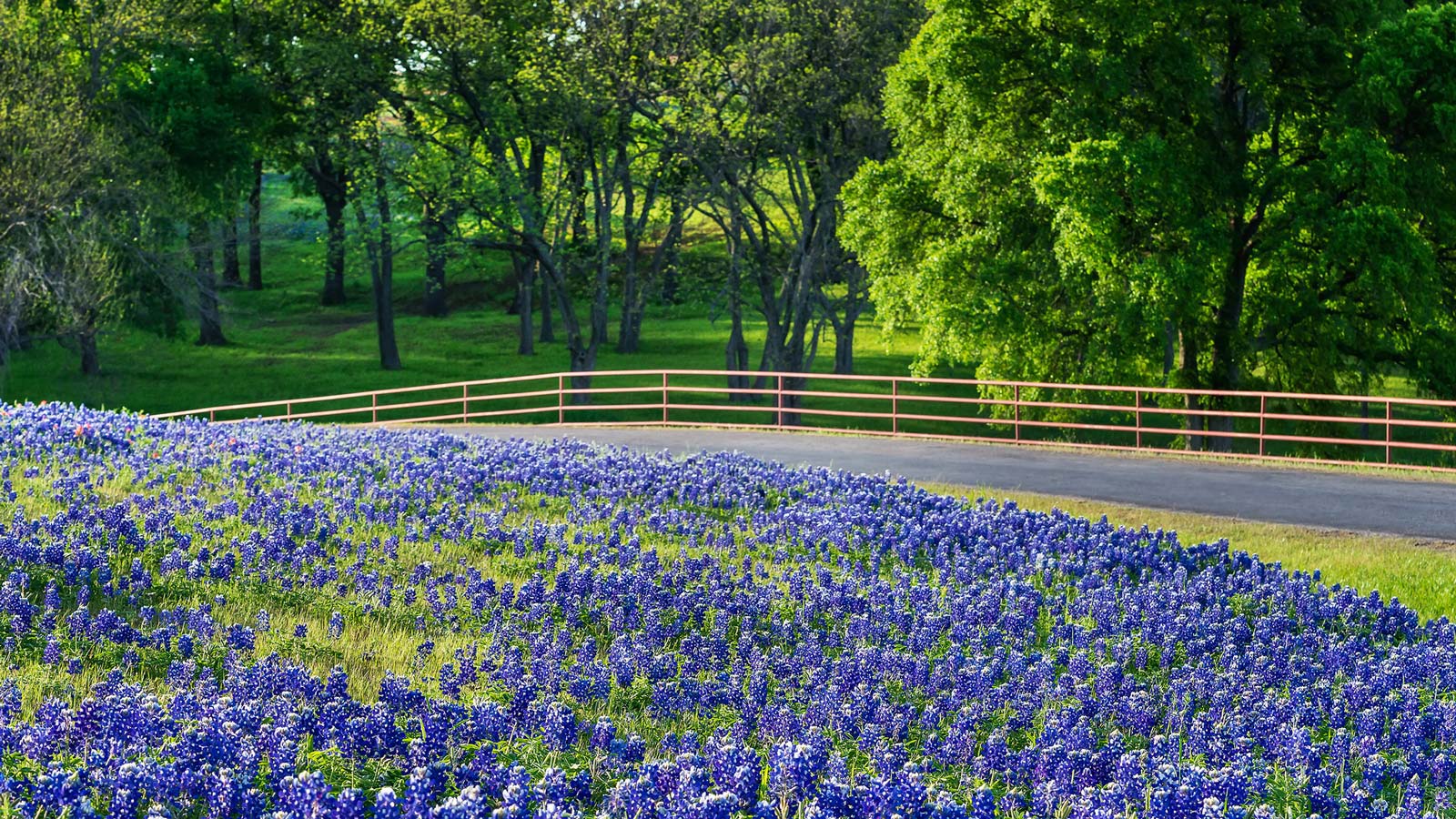 Emblem Properties in Huntsville, TX