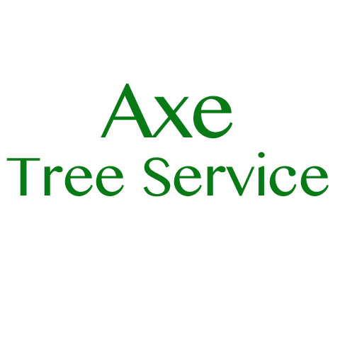Axe Tree Service/ Axe Sustainable Woodcraft in Conrath, WI (5)