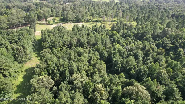 Pursuit Properties in Madison, MS (5)