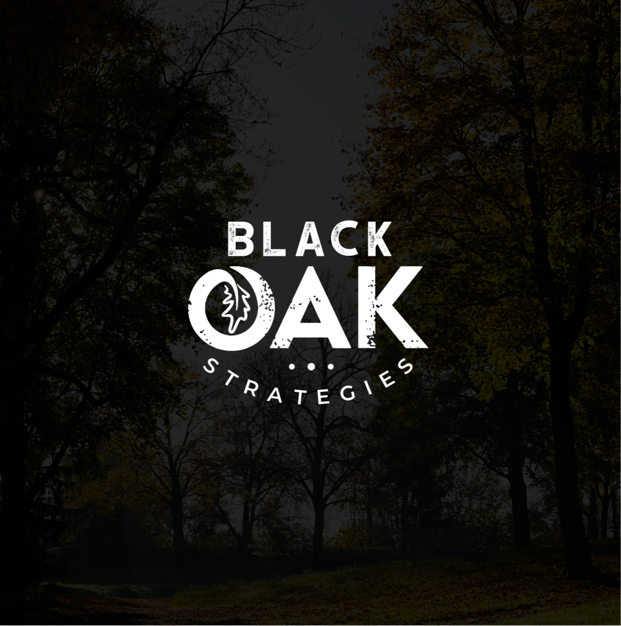 Black Oak Strategies in Lagrange, OH