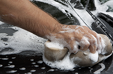 Leonard & Sons Auto Detailing in Winter Garden, FL (2)