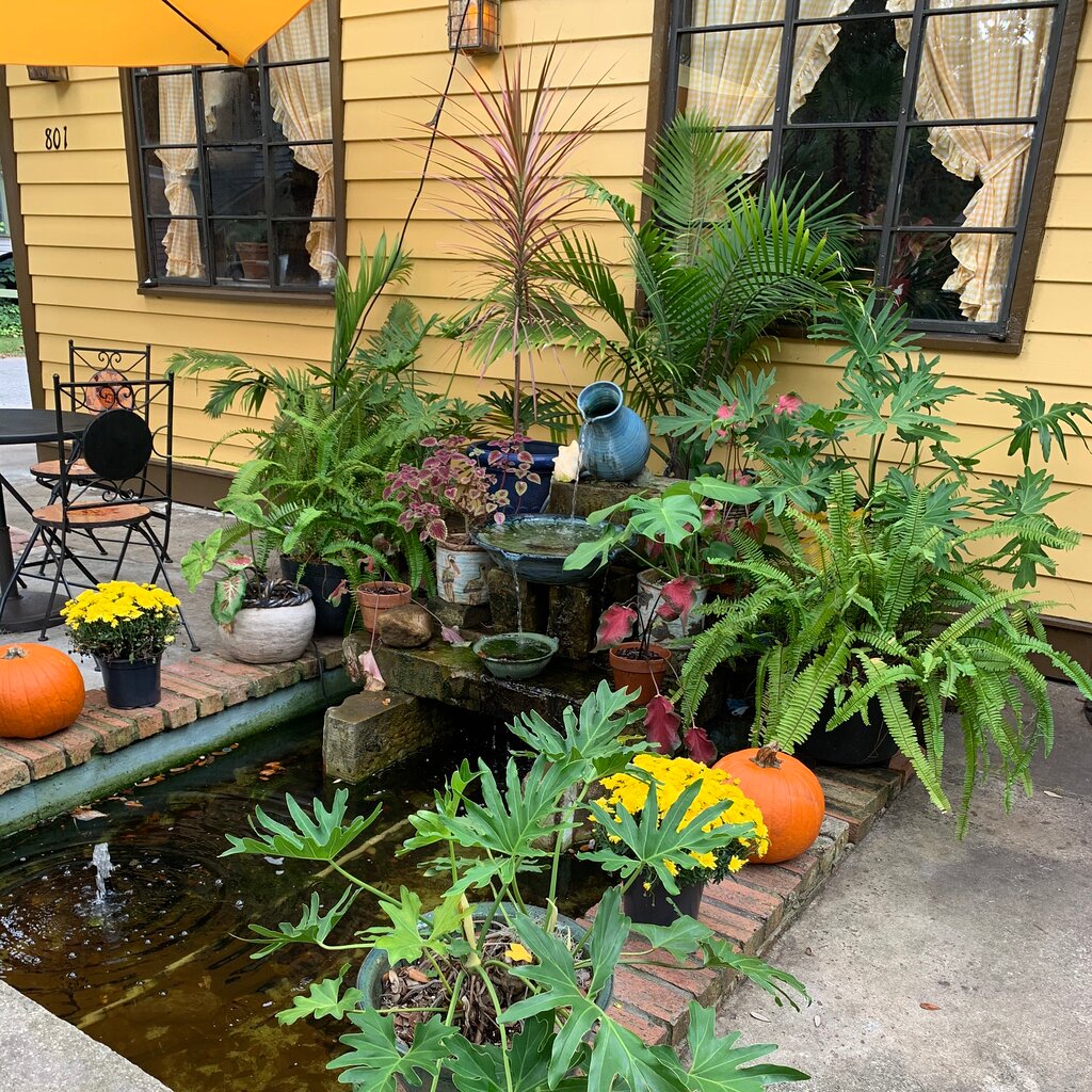 Yellow Deli Brunswick in Brunswick, GA (6)