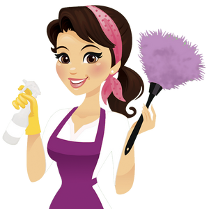 Pro Cleaning Services in Chicago, IL (2)