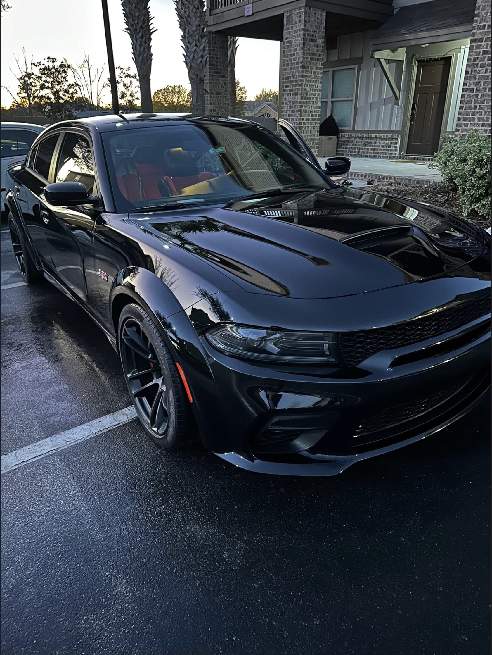 Rads Detailing in Orlando, FL (6)