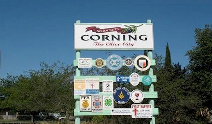 Preferred Agents in Willows, CA (5)