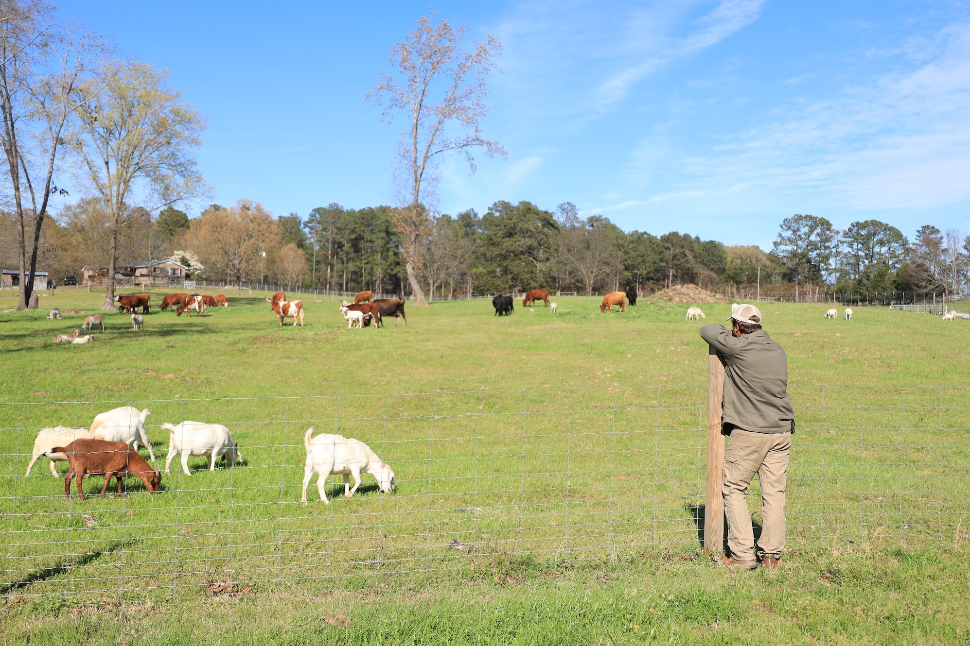Bowers Farm in Pomaria, SC (6)