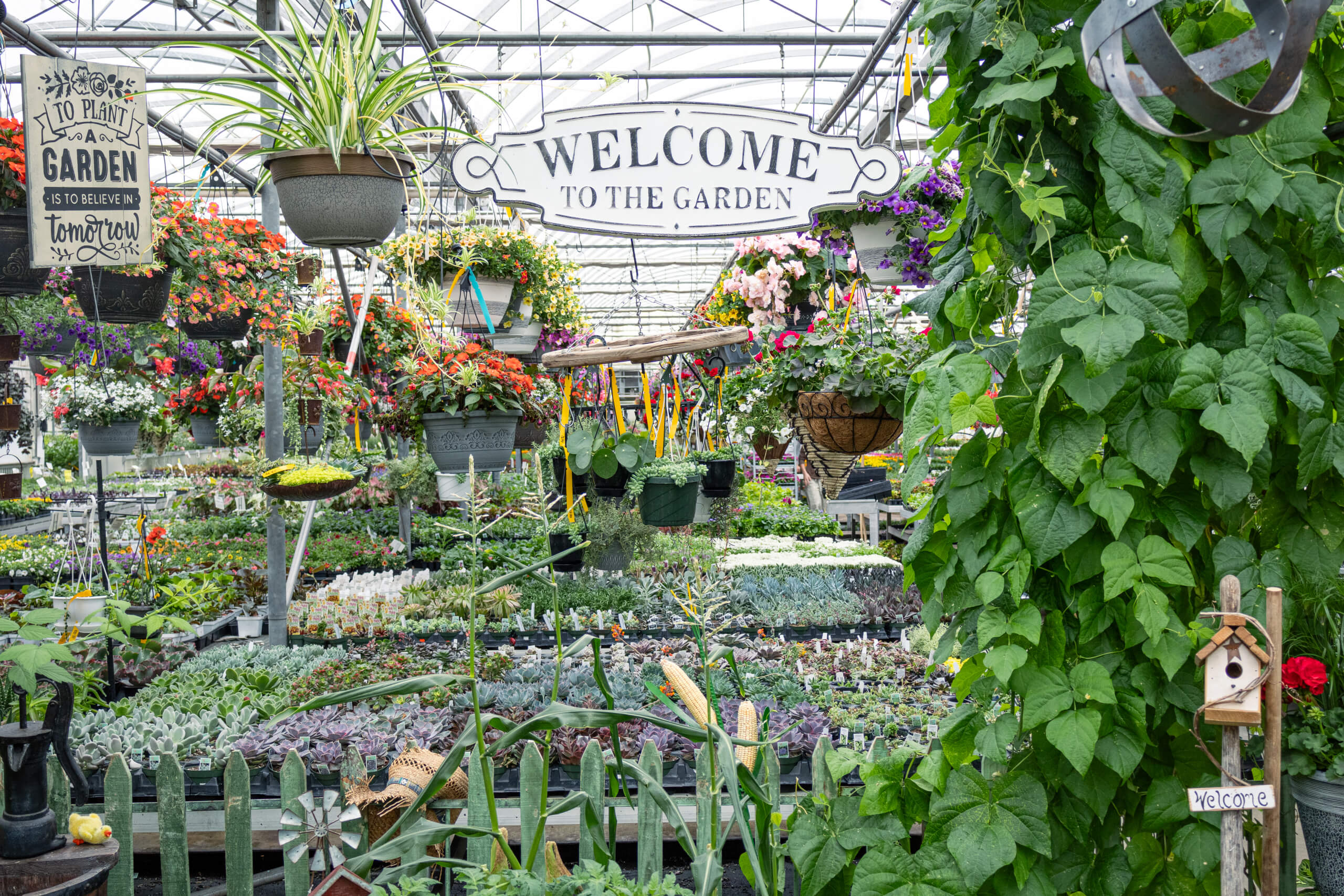 Black Creek Greenhouse in East Earl, PA (5)