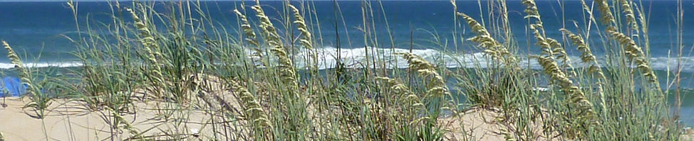 Cahoons Market and Cottage in Nags Head, NC (2)