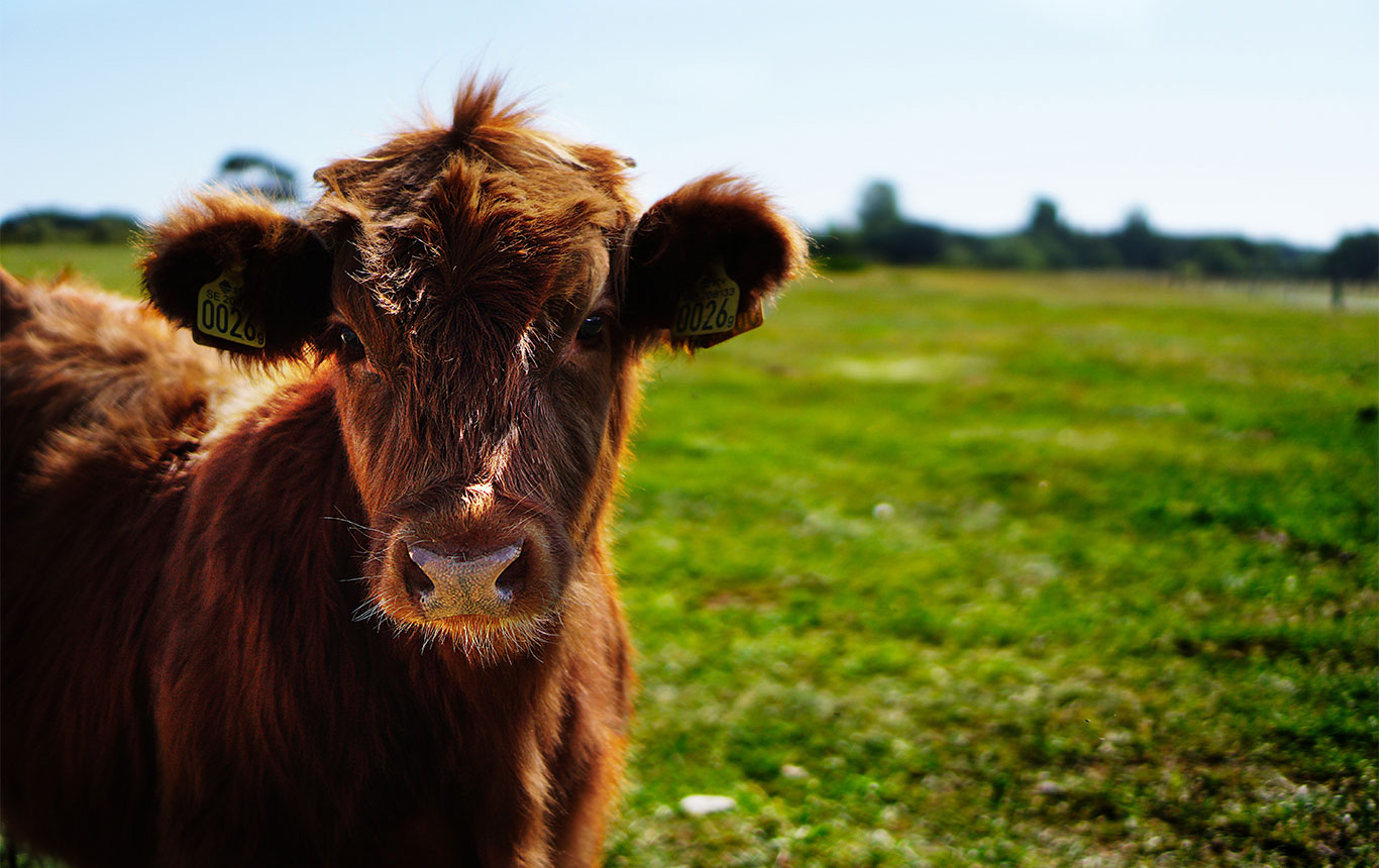 Huber's Animal Health, LLC. in Myerstown, PA (2)