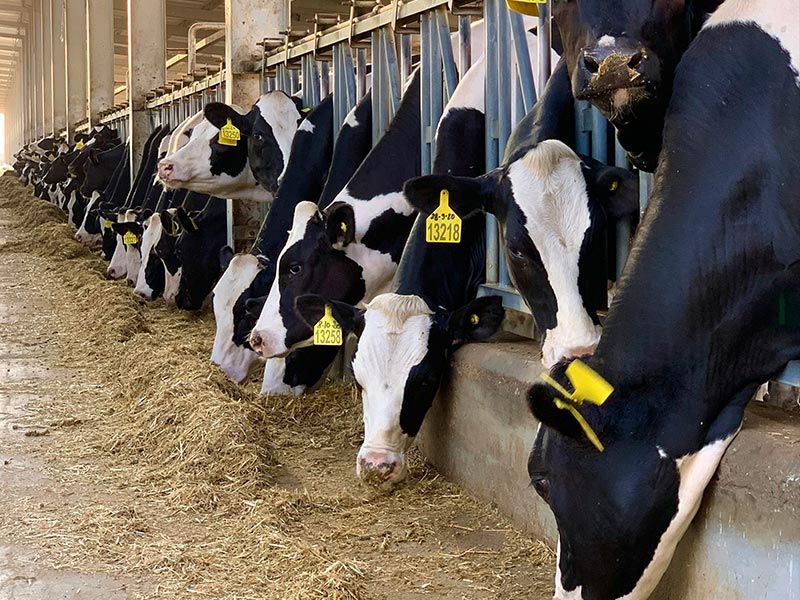 Huber's Animal Health, LLC. in Myerstown, PA (3)