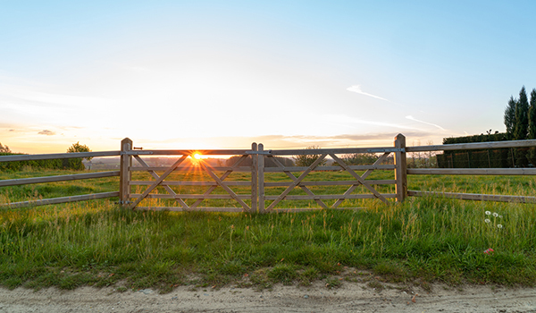 Sterling & Associates Real Estate in Elgin, TX (5)