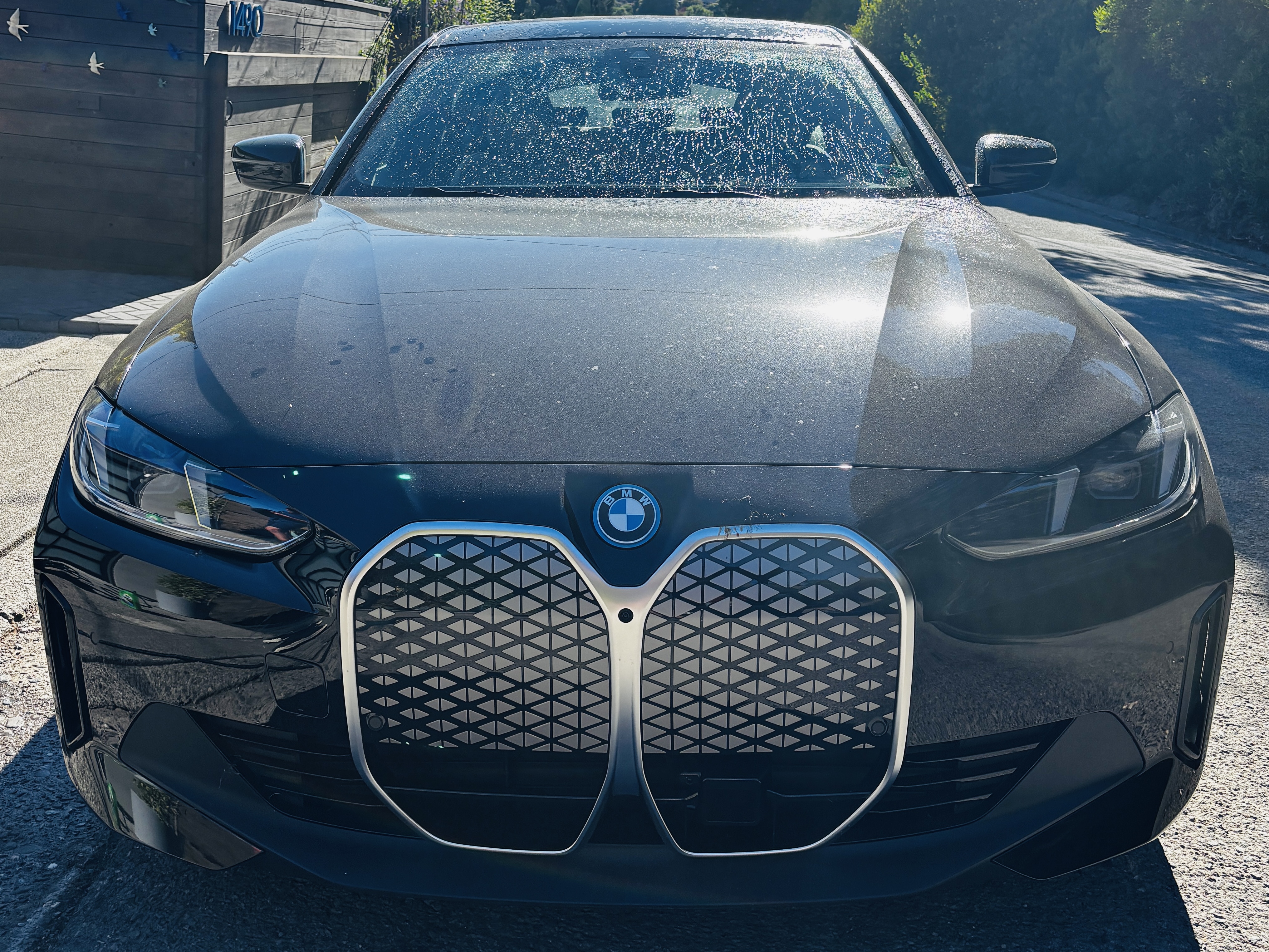 Belvedere Detailing in Nicasio, CA (2)