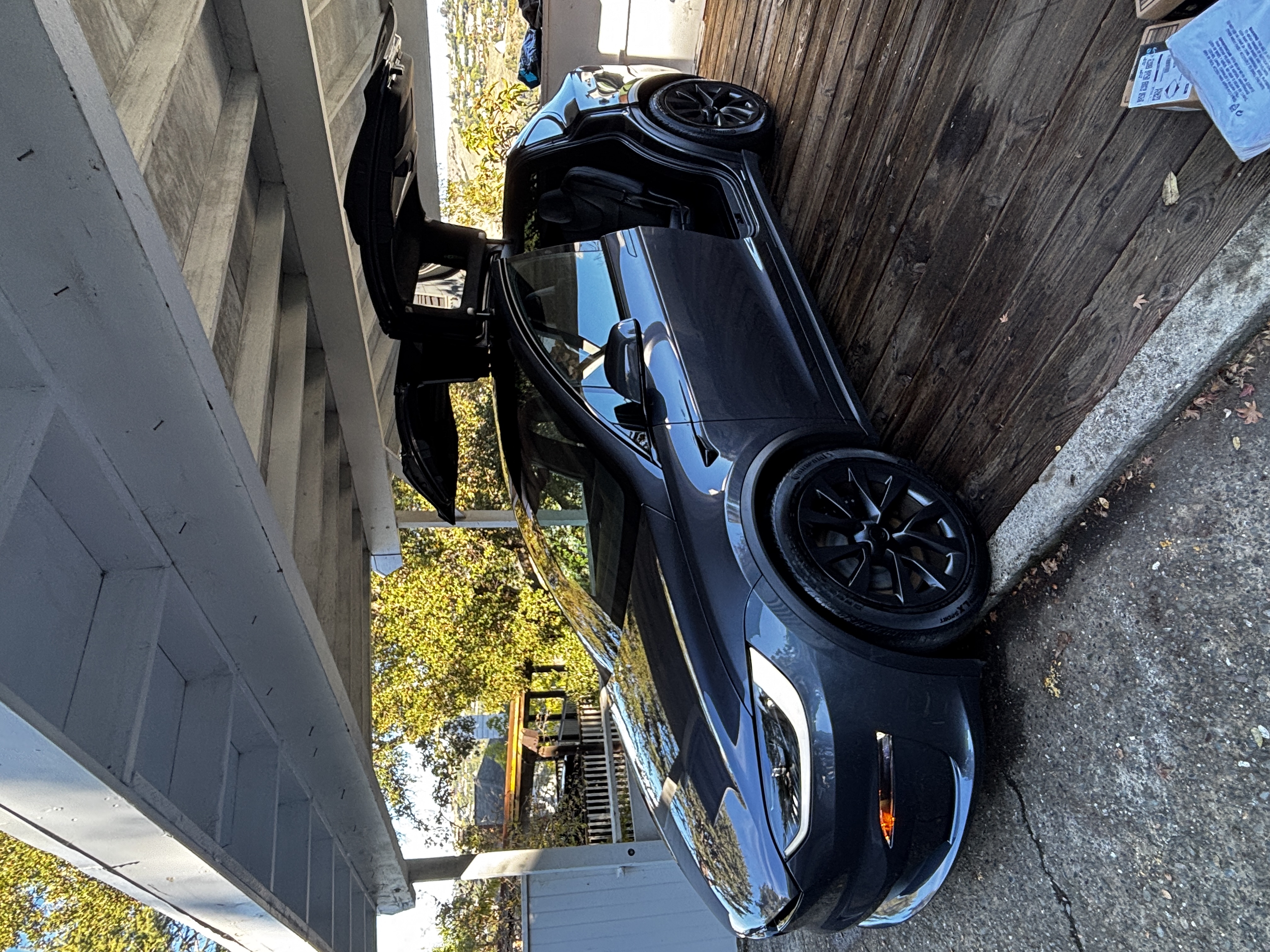 Belvedere Detailing in Nicasio, CA (3)