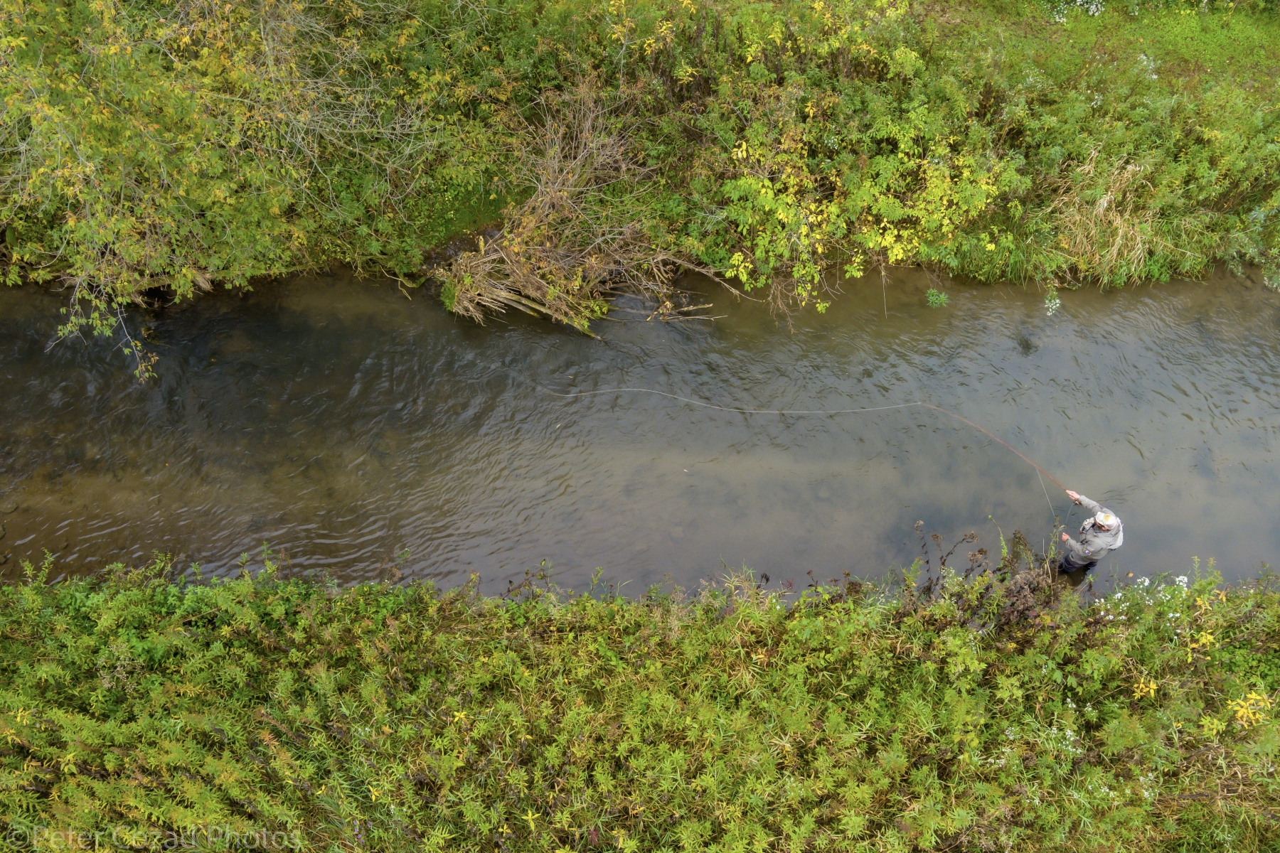 Driftless Angler in Viroqua, WI (2)