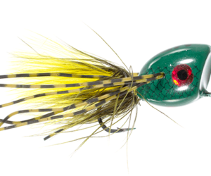 Driftless Angler in Viroqua, WI (4)