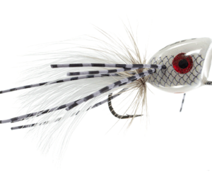 Driftless Angler in Viroqua, WI (5)