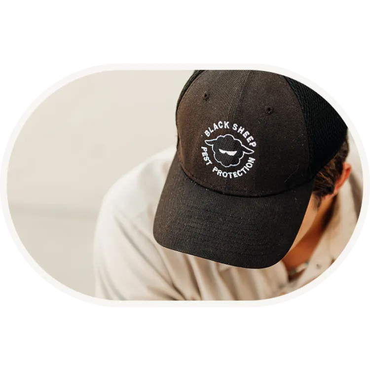 Black Sheep Pest Protection in Roseville, CA (6)