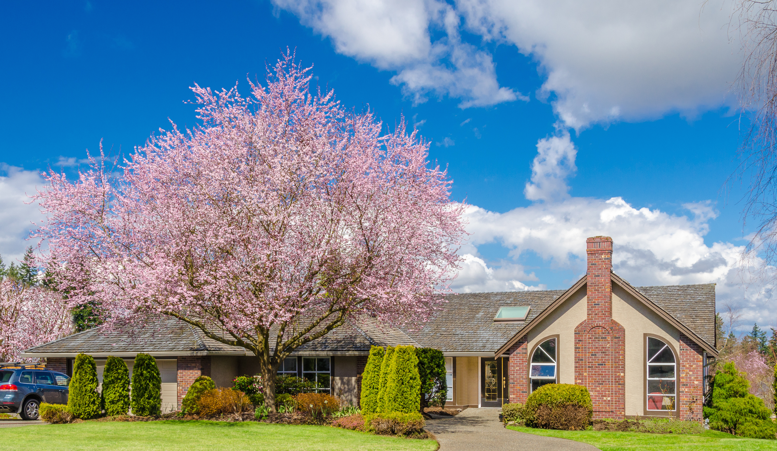 Founders Real Estate in Anderson, SC (4)