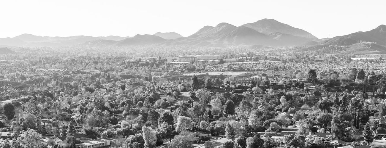 The Dubrow Group, CPAs in Westlake Village, CA (3)