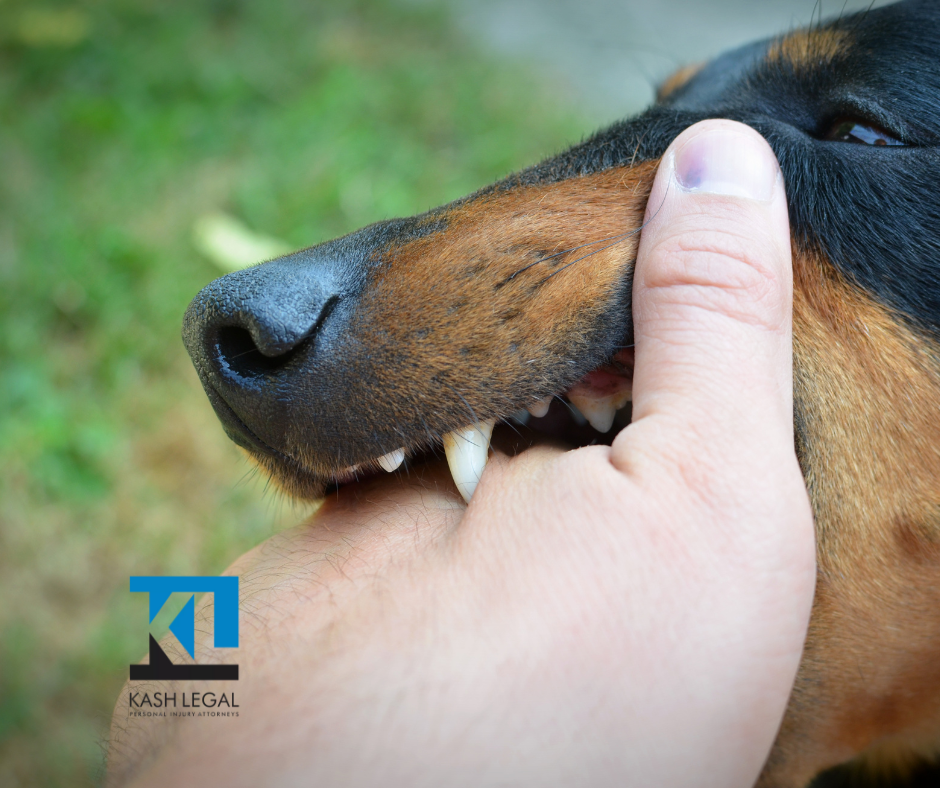 Kash Legal Group - Murrieta Personal Injury and Accident Lawyers in Murrieta, CA
