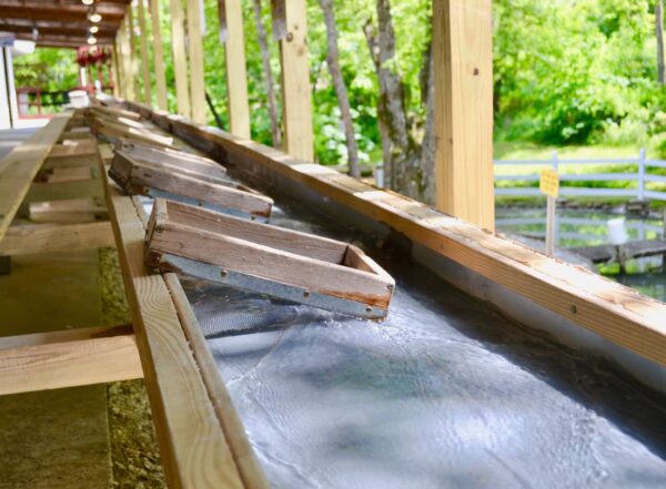 Gem Mountain Gemstone Mine in Spruce Pine, NC (6)