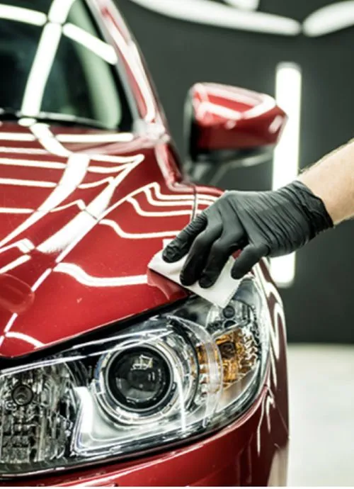 Regal Touch Auto Detailing LLC in Orlando, FL (3)