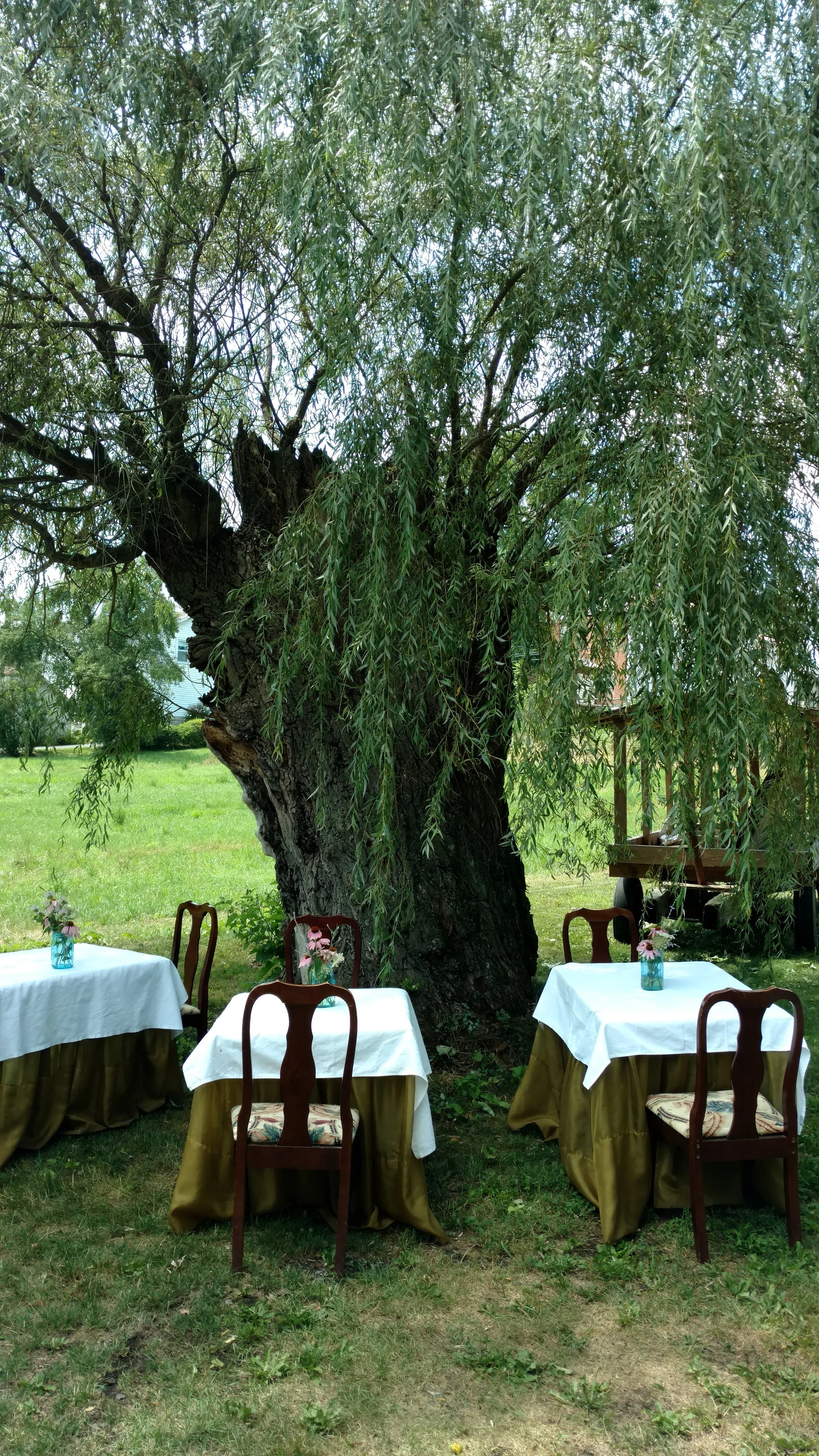 The Hummingbird Room in Spring Mills, PA