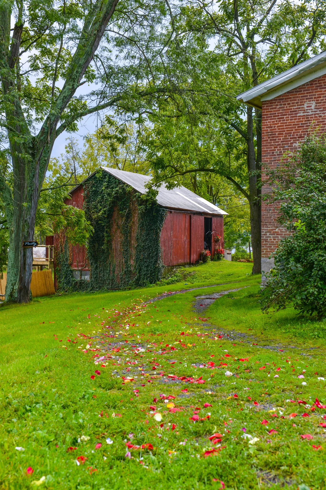 The Hummingbird Room in Spring Mills, PA (2)