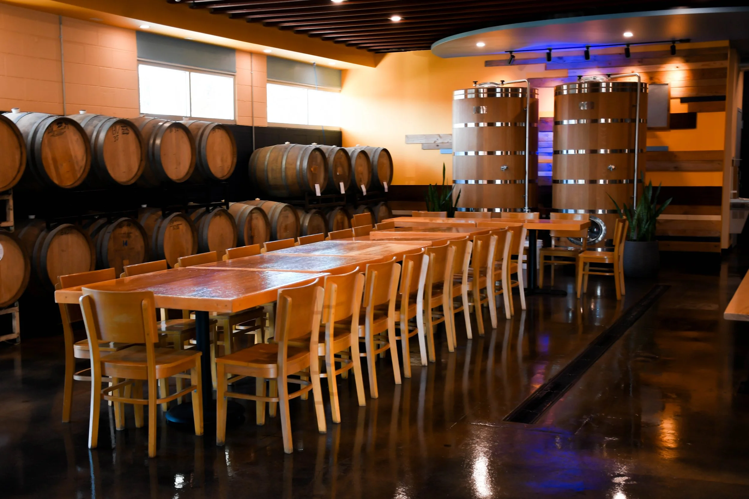 Yellow Springs Brewery Barrel Room in Yellow Springs, OH (2)