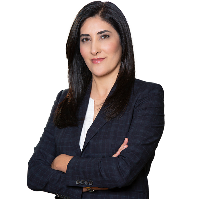 Saffari Law Criminal Lawyer Group in Beverly Hills, CA (3)