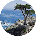 Saffari Law Criminal Lawyer Group in Beverly Hills, CA (6)