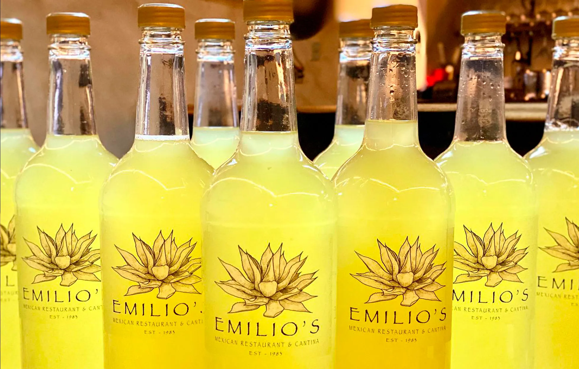 Emilio's Mexican Restaurant & Cantina in San Jacinto, CA (4)