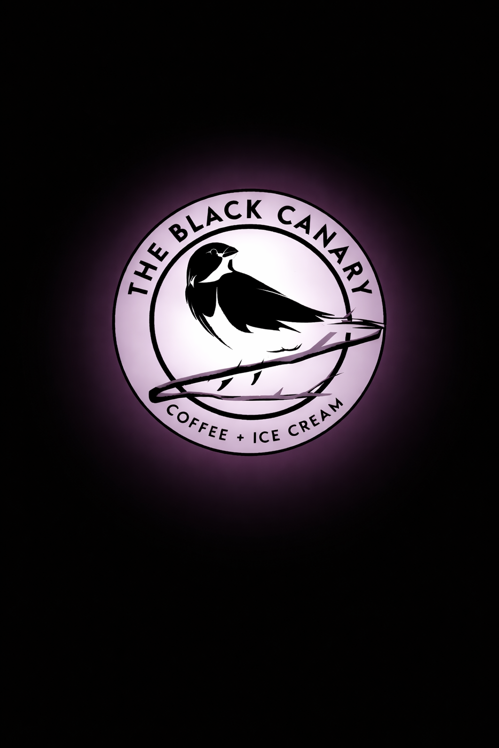 The Black Canary in Pittsburgh, PA (2)