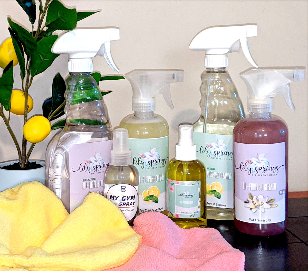 Clean Chicks LLC. in Blackburn, NC (2)