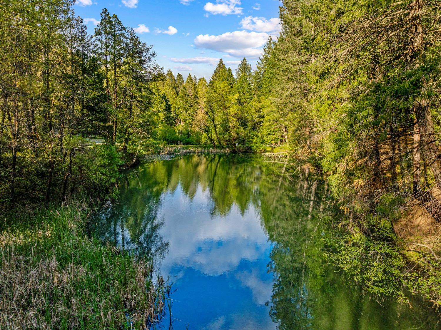 Haus Homes Realty Group -Realtor Kristen Haus in Georgetown, CA (2)