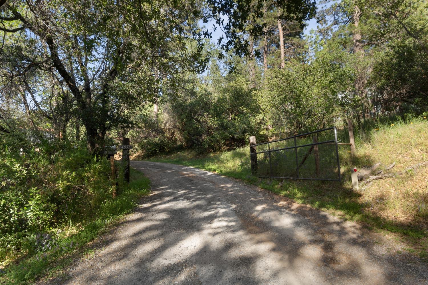 Haus Homes Realty Group -Realtor Kristen Haus in Georgetown, CA (6)