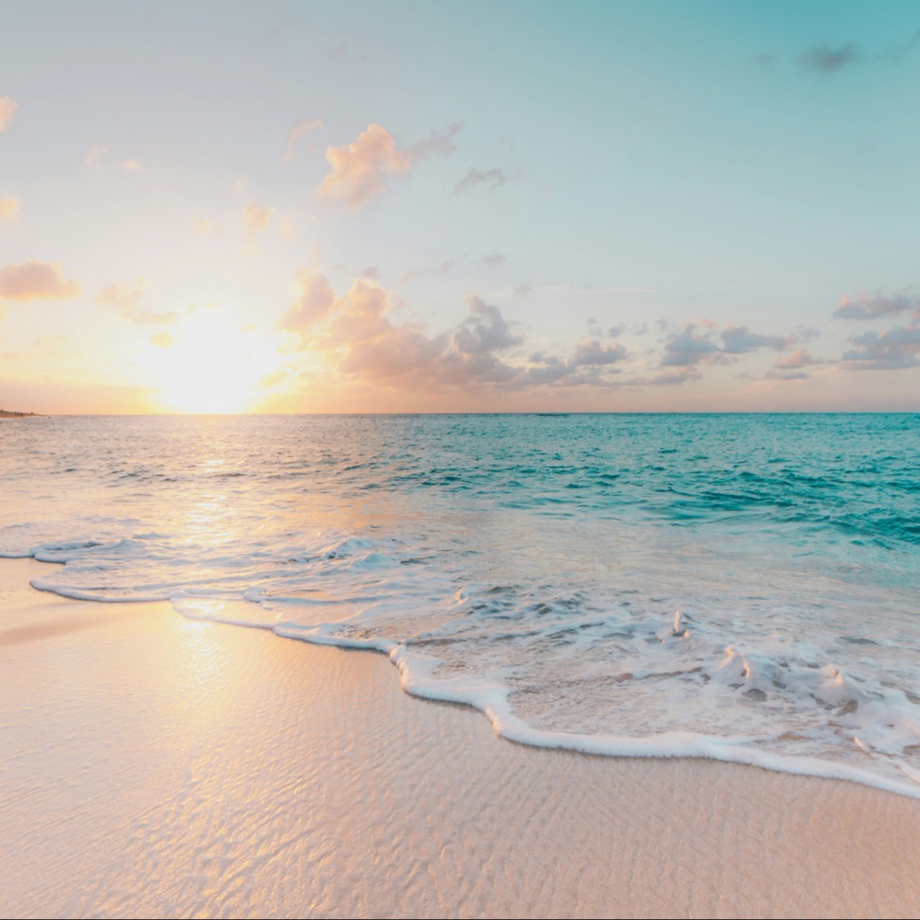 Essie Castanaza REALTOR® in Daytona Beach, FL