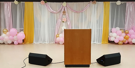 The Balloon Boutique & Entrusted Moments Events in Sterling Heights, MI (5)