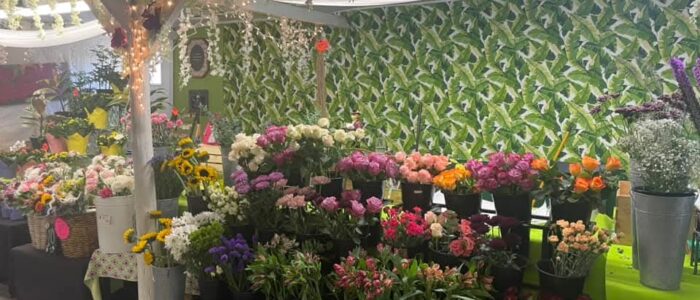Hometown Farmers Market in Tamaqua, PA (6)