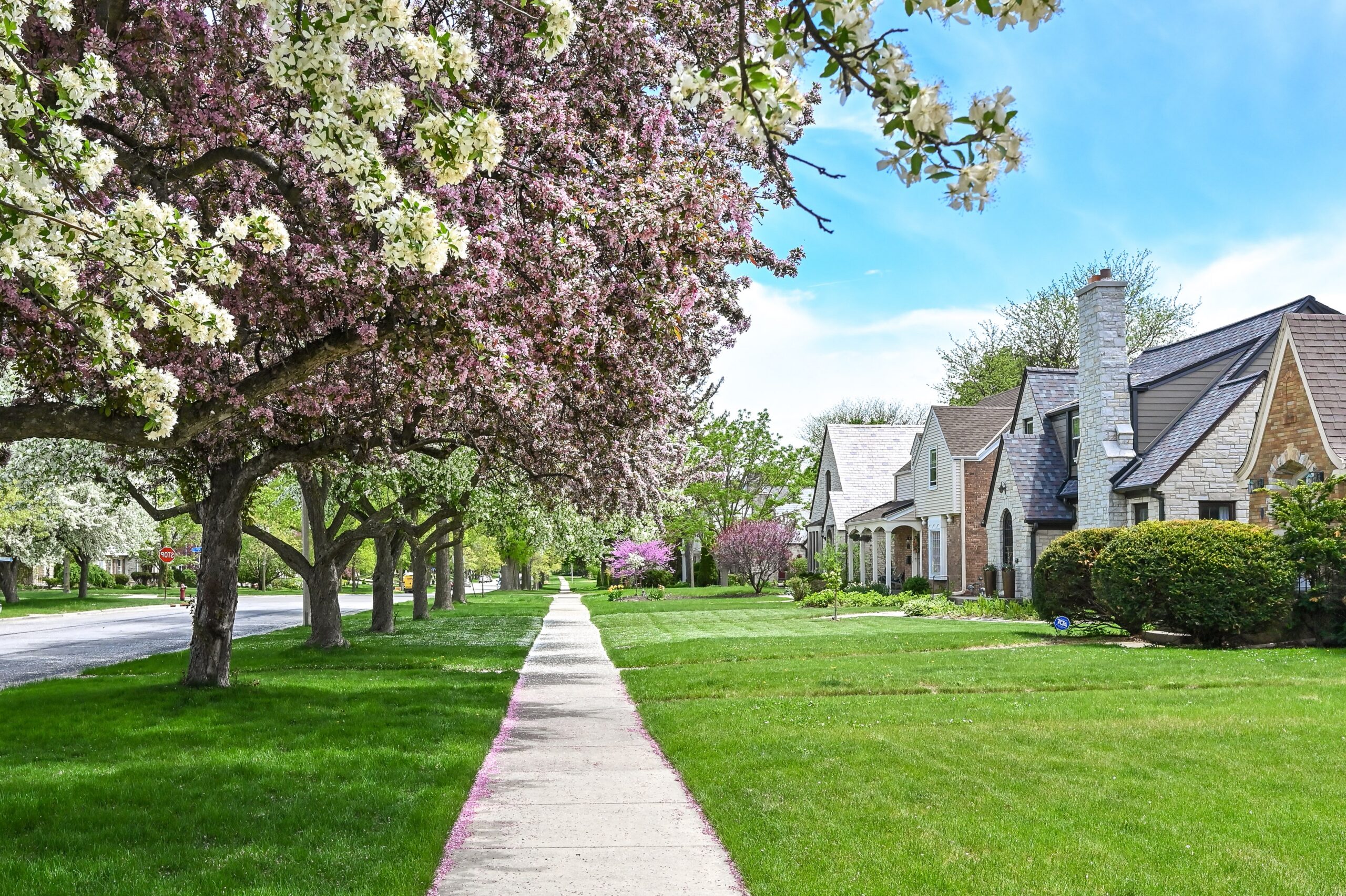Firefly Real Estate in Wauwatosa, WI (4)