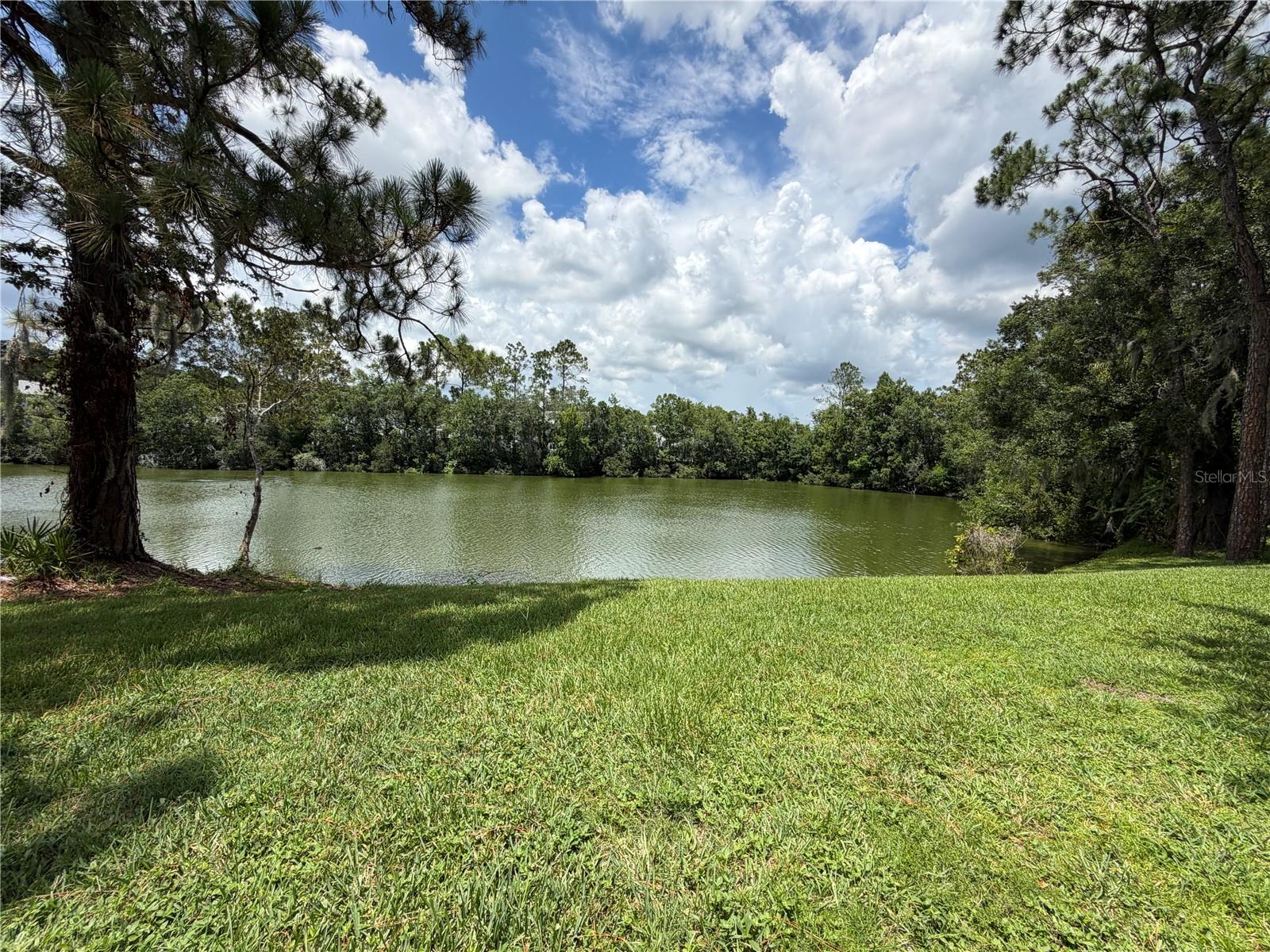 Elizabeth Willers, Lakeland Realtor Serhant in Avon Park, FL (2)